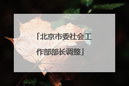 北京市委社会工作部部长调整